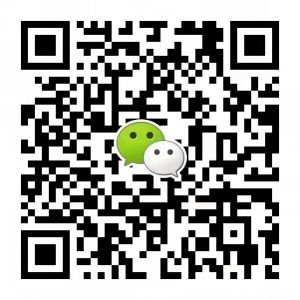 山東圣陽電源股份有限公司